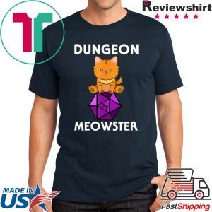 Dungeon Meowster Nerdy Cat D20 Tee Shirt