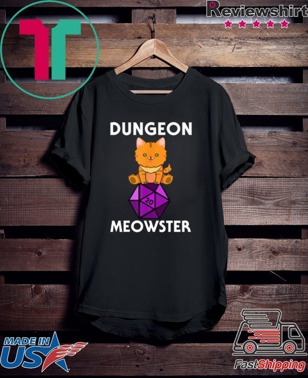 Dungeon Meowster Nerdy Cat D20 Tee Shirt