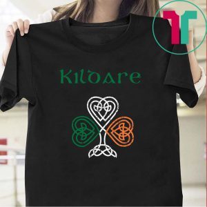 County Kildare Shamrock Ireland Flag, craic and ceol, Tee Shirts