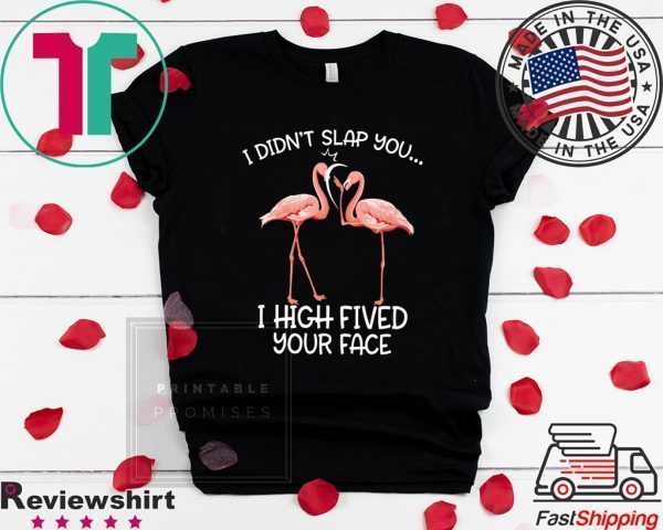 I Didn’t Slap You I High Fived Your Face Tee Shirts