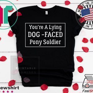 YOU'RE A LYING DOG FACED PONY SOLDIER, Joe Biden Womens T-Shirt