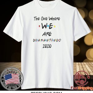 Quarantined Friends The One Where Funny Social Distancing Tee Shirts