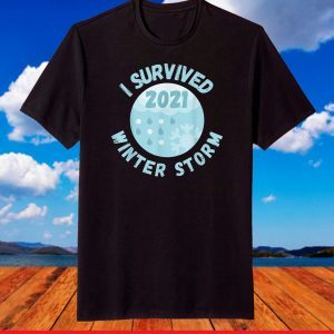 I Survived Winter Snow Storm 2021 Icy Freezing Weather Retro T-Shirt