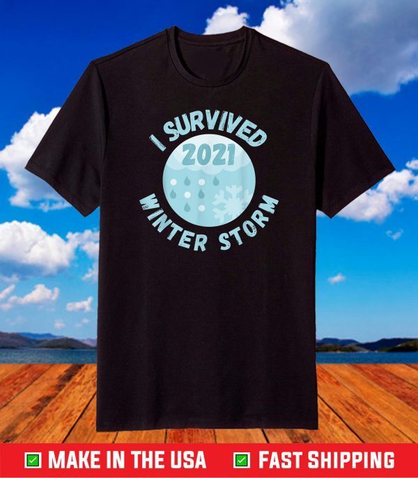 I Survived Winter Snow Storm 2021 Icy Freezing Weather Retro T-Shirt