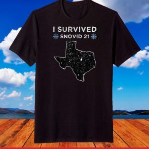 I Survived Winter Snow Storm 2021 Icy Freezing Weather T-Shirt