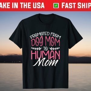 Promoted From Dog Mom To Human Mom 2021 Pregnancy Reveal T-Shirt