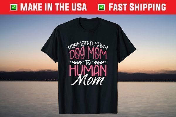 Promoted From Dog Mom To Human Mom 2021 Pregnancy Reveal T-Shirt