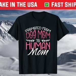 Promoted From Dog Mom To Human Mom 2021 Pregnancy Reveal T-Shirt