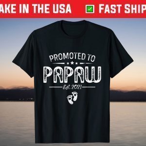 Promoted To Papaw Est 2021 Tee Retro Father's Day T-Shirt