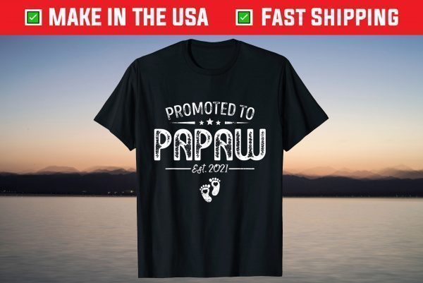 Promoted To Papaw Est 2021 Tee Retro Father's Day T-Shirt