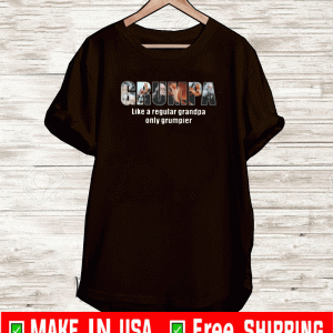 BUY GRUMPA LIKE A REGULAR GRANDPA ONLY GRUMPIER VIKING SHIRT