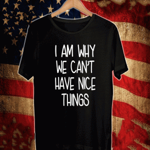 I’m Why We Can’t Have Nice Things Shirt