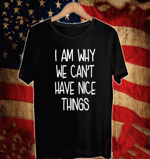 I’m Why We Can’t Have Nice Things Shirt