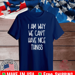 I’m Why We Can’t Have Nice Things Shirt