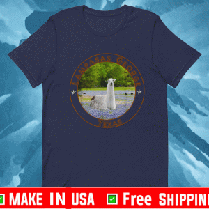 Lampasas George the Llama in a field of Texas bluebonnets T-Shirt