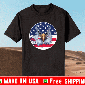 USA American Flag Patriotic Eagle 4th of July T-Shirt