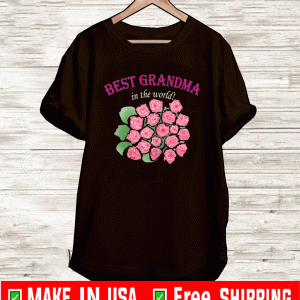 Best Grandma in the world T-Shirt