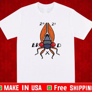 Welcome to the summer of the Cicadas brood 2021 Shirt