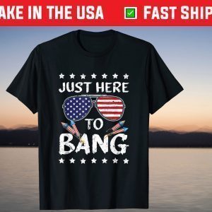 4th of July I'm Just Here To Bang USA Flag Sunglasses T-Shirt