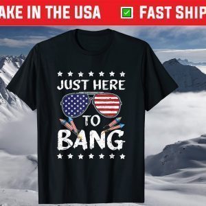4th of July I'm Just Here To Bang USA Flag Sunglasses T-Shirt