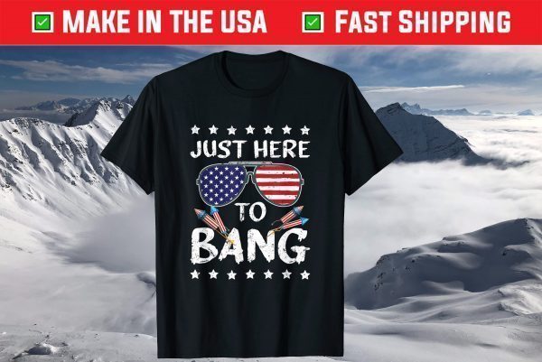 4th of July I'm Just Here To Bang USA Flag Sunglasses T-Shirt