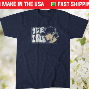 Gerrit Ice Cole New York Tee Shirt