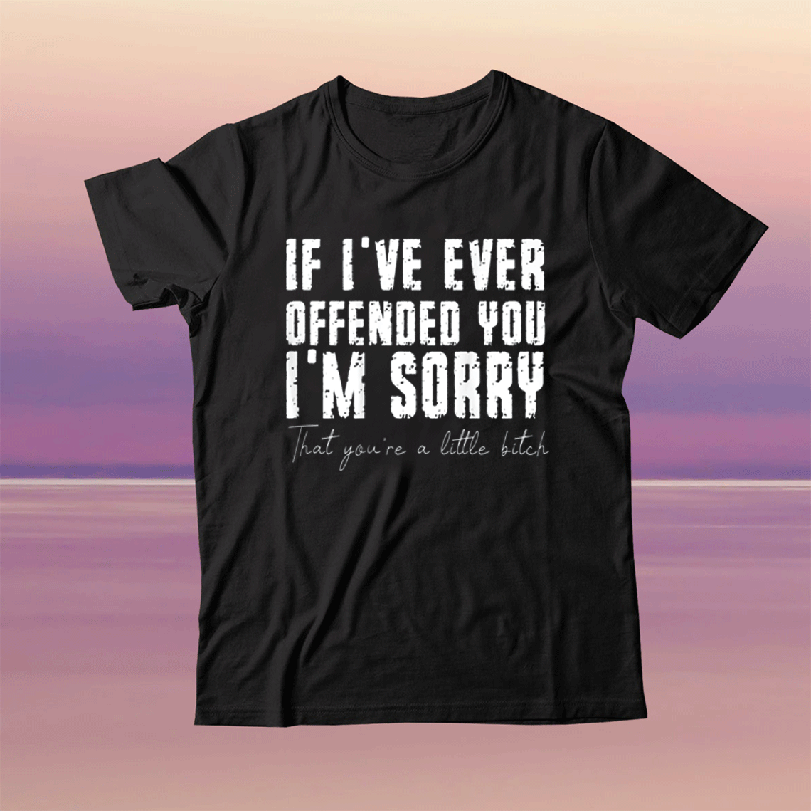 If I've Ever Offended You I'm Sorry That You Are A Little Bitch Tee Shirt