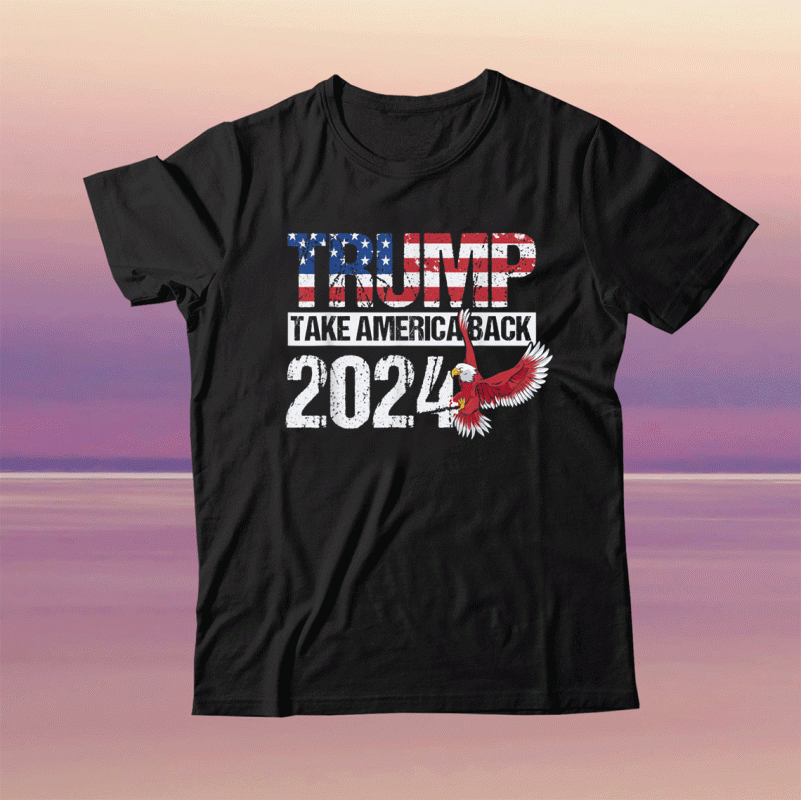 Trump 2024 Flag Take America Back Trump 2024 Tee Shirt 