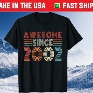 Awesome Since 2002 19th Birthday 19 Years Old Classic T-Shirt