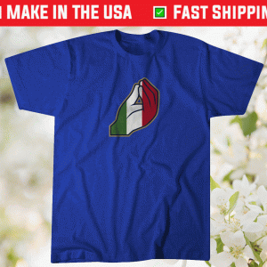 Italy Champs of Europe European Soccer Tee Shirt
