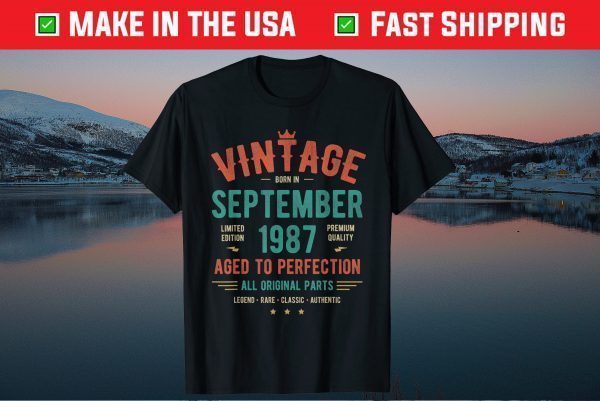 September 1987 Birthday 33rd Birthday Gift T-Shirt