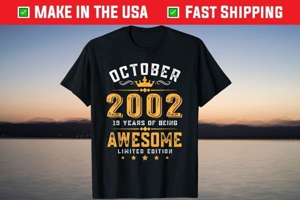 Awesome Since October 2002 19th Birthday 19 Years Old T-Shirt