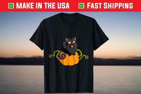 Black Cats Pumpkin Halloween Pumpkin Cat Lover Witch Shirt