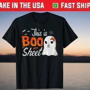 Crazy Boo Sheet Halloween Cute Ghost Spooky Party T-Shirt