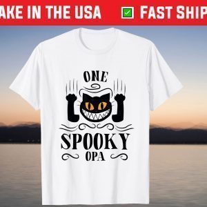 Scary Halloween Black Cat One Spooky Opa T-Shirt