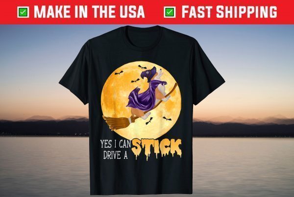 Yes I Can Drive A Stick Cute Halloween Corgi Dog Witch T-Shirt