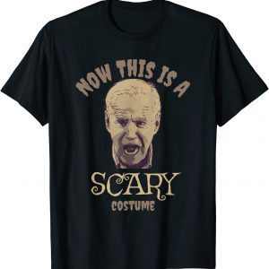 Scary Biden, Biden Harris, Impeach Biden, Biden Horror Us 2021 Shirt