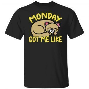 Cat Monday Got Me Like 2021 shirt