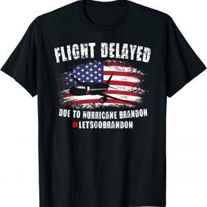 Flight Delayed Due To Hurricane Brandon Lets go Brandon Usa Flag Unisex T-Shirt