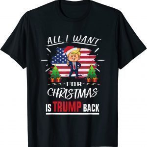 All I Want For Christmas Is Trump Back Re-elect President T-Shirt
