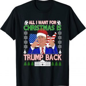 All I Want For Christmas Is Trump Back Ugly Xmas 2022 T-Shirt