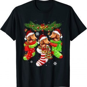 Dachshunds Christmas In Stockings Dachshund Xmas Ornaments 2021 T-Shirt