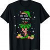Dear Christmas I'm The Nana Elf T-Shirt