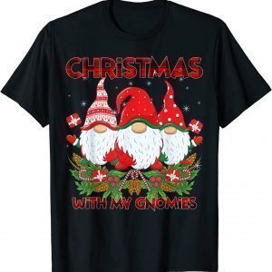 Gnome Family Xmas Santa Christmas Buffalo Red Plaid Classic Shirt
