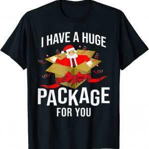 I Have A Huge Package For You Dirty Santa T-Shirt
