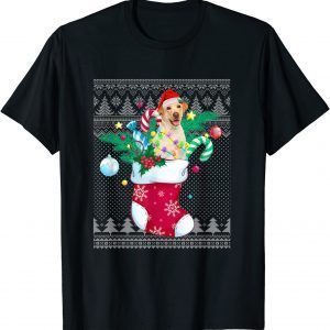 Labrador In Sock Funny Christmas Ugly Pajama Xmas Santa Dog T-Shirt