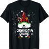 Grandma Gnomies Red Plaid Matching Family Christmas 2022 Shirt