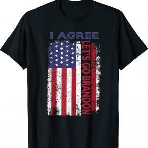 Lets Go Brandon I Agree Us Flag 2022 T-Shirt