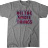All the Small Things Classic Shirt