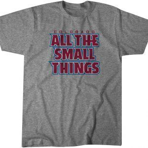 All the Small Things Classic Shirt